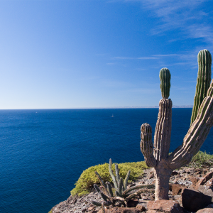Baja-aventura rápida en kayak