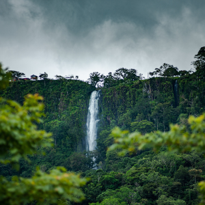 Epic Expanse Rainforest Adventure - Experiencia de senderismo, cascada y tirolesa